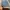 Streetwear Jeans Pria multicolor photo 3