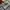 Levi's Streetwear Jeans Pria multicolor photo 3