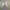 Levi's Streetwear Jeans Pria multicolor photo 1