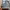 EDWIN Streetwear Jeans Pria multicolor photo 3