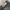 Streetwear Jeans Pria multicolor photo 5