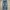 Lee Streetwear Jeans Pria Navy