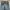 Lee Streetwear Jeans Pria navy photo 5