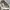 COMME des GARÇONS Vintage Avant Garde Blouse Wanita white photo 4