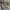 Bobson Streetwear Jeans Pria khaki photo 4