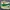 Puma Streetwear Casual Sneakers Pria multicolor photo 3