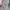 Sportswear Puffer jacket Wanita white gray photo 5