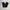 Dickies Streetwear Skater Formal pants Pria black photo 1