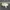 Adidas Streetwear Casual Casual shoe Pria cream photo 5