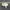 Adidas Streetwear Casual Casual shoe Pria cream photo 4
