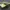 Adidas Streetwear Casual Casual shoe Pria cream photo 6