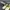 Adidas Streetwear Casual Casual shoe Pria cream photo 2