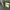 Adidas Streetwear Casual Casual shoe Pria cream photo 5