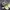 Adidas Streetwear Casual Casual shoe Pria cream photo 3