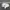 Adidas Casual Casual shoe Pria white photo 5
