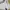Casual Sweatshirt Pria white photo 5