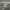 Adidas Casual Casual shoe Pria gray photo 4