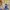 Adidas Casual Casual shoe Pria navy yellow photo 3
