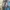 Hai Sporting Gear Streetwear Casual Sweatshirt Pria multicolor photo 5