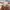 Hai Sporting Gear Streetwear Casual Sweatshirt Pria multicolor photo 6