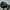 Eiger Gorpcore Hat Pria Green