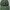 Eiger Gorpcore Hat Pria green photo 1