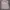 Carhartt Y2K Hoody Pria gray photo 1