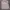 Carhartt Y2K Hoody Pria Gray