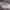 Carhartt Y2K Hoody Pria gray photo 2