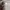 Carhartt Y2K Hoody Pria gray photo 6
