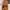 Undercover Streetwear Grunge Hoody Pria orange photo 6
