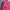 Hysteric Glamour Vintage Y2K Windbreaker Pria purple red photo 7