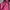 Hysteric Glamour Vintage Y2K Windbreaker Pria purple red photo 4