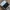Nike Y2K Sportswear Casual shoe Pria black photo 4
