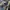 Lee Vintage Y2K Pria white blue photo 6