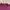 Casual T-shirt Pria burgundy photo 2