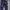 Tommy Hilfiger Other Pria Navy Blue