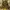 A Bathing Ape Vintage Y2K Hoody Pria orange yellow photo 1