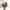Dickies Casual Hat Pria tan photo 3