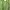 Abercrombie & Fitch Streetwear Hoody Pria green photo 3