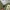 Abercrombie & Fitch Streetwear Hoody Pria green photo 4