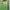 Abercrombie & Fitch Streetwear Hoody Pria green photo 1