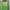 Abercrombie & Fitch Streetwear Hoody Pria Green