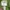 Abercrombie & Fitch Streetwear Hoody Pria green photo 5