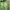Abercrombie & Fitch Streetwear Hoody Pria green photo 2