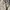 Vintage Casual Harrington jacket Pria tan cream photo 3