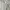 Uniqlo Casual Hoody Pria Gray