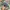 Adidas Casual Casual shoe Pria green photo 8