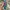 Adidas Casual Casual shoe Pria green photo 6