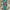 Adidas Casual Casual shoe Pria green photo 5